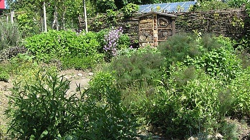 Duft und Kräutergarten mit Insektenhotel